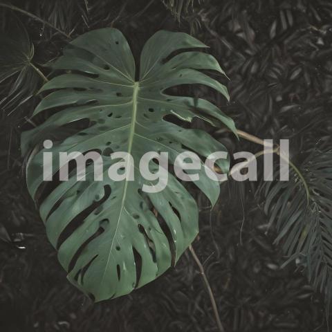 2025 07 18 18 06 15 6622