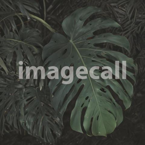 2025 07 18 18 08 59 6113