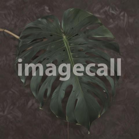 2025 07 18 18 09 03 8199