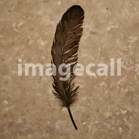 2025 07 18 18 09 55 5924