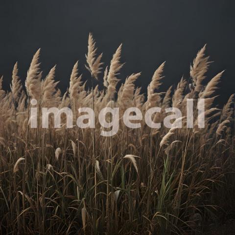 2025 07 18 18 10 39 5715