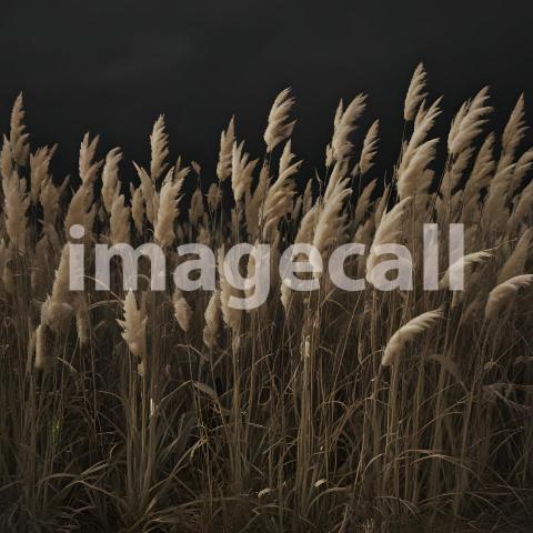 2025 07 18 18 10 46 8508