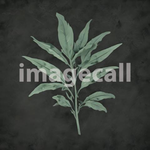 2025 07 18 18 11 23 2624