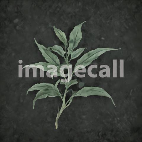 2025 07 18 18 11 25 2880