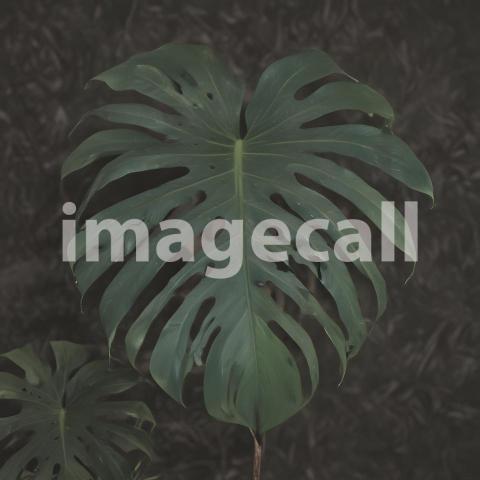 2025 07 18 18 12 17 5164