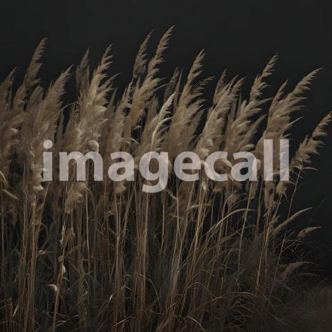 2025 07 18 18 13 02 7130