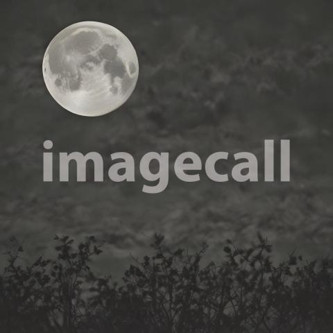 2025 07 18 18 13 35 4238