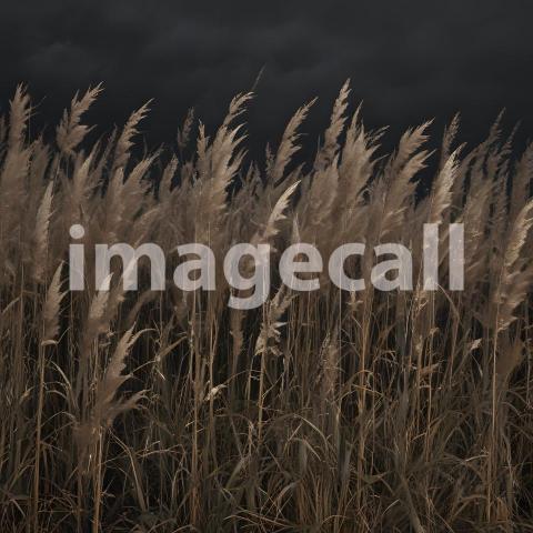 2025 07 18 18 13 52 2513