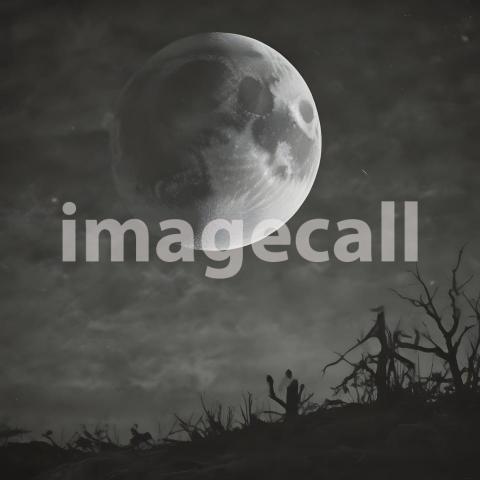 2025 07 18 18 14 31 4608