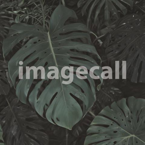 2025 07 18 18 15 16 9050