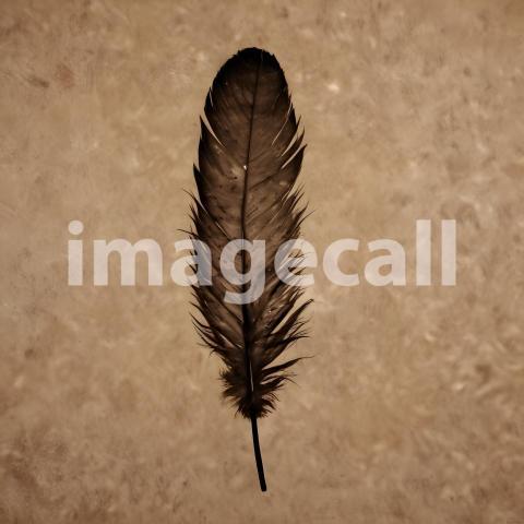 2025 07 18 18 15 39 9653