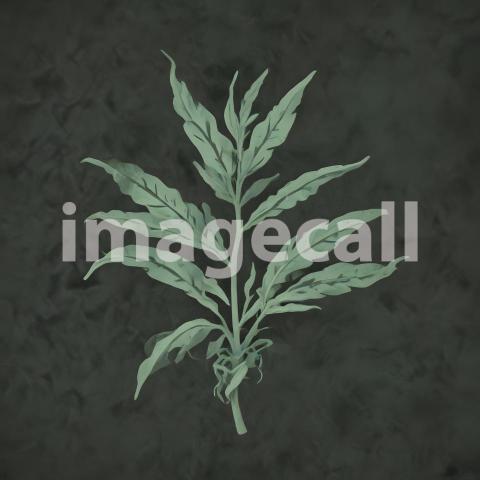 2025 07 18 18 15 58 9770