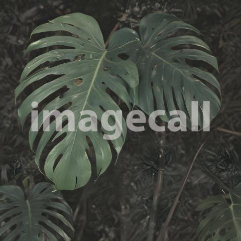 2025 07 18 18 17 01 6766