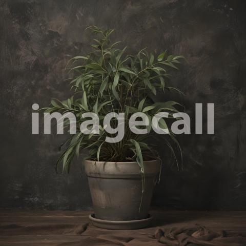 2025 07 18 18 17 24 8829