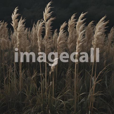 2025 07 18 18 18 14 3782