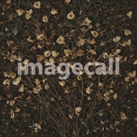 2025 07 18 18 18 18 1642