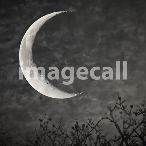 2025 07 18 18 19 22 9869