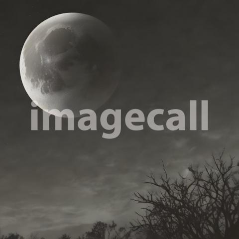 2025 07 18 18 19 57 8436