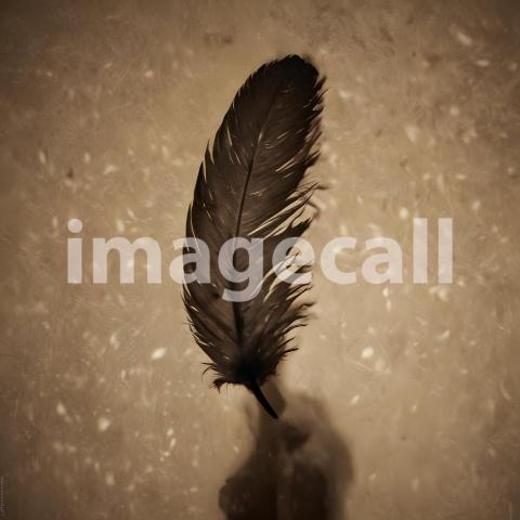 2025 07 18 18 20 30 7834