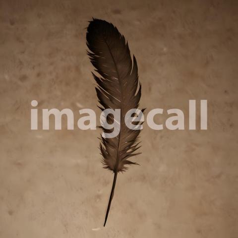 2025 07 18 18 20 47 8608