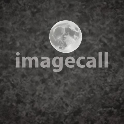 2025 07 18 18 21 55 8437