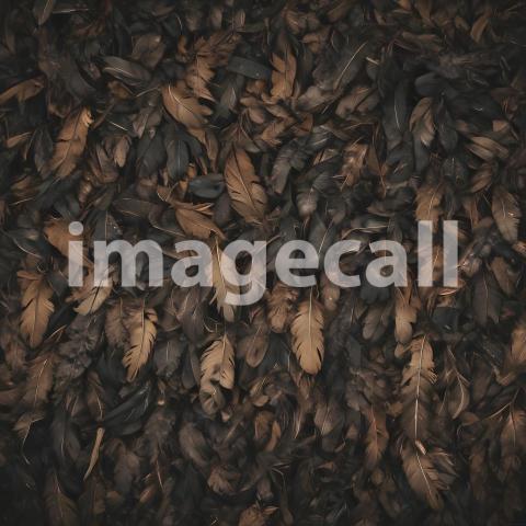 2025 07 18 18 21 58 4387