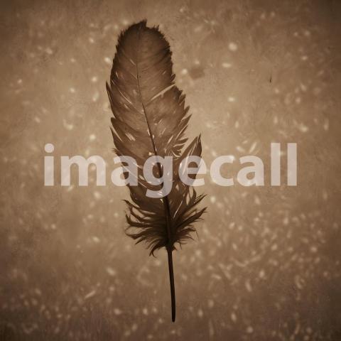 2025 07 18 18 24 10 5977