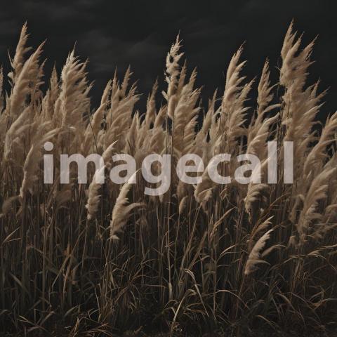 2025 07 18 18 24 31 4535