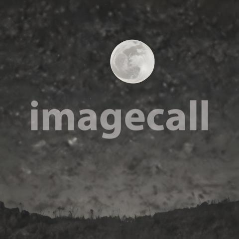 2025 07 18 18 24 44 5695