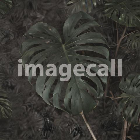 2025 07 18 18 25 17 5443