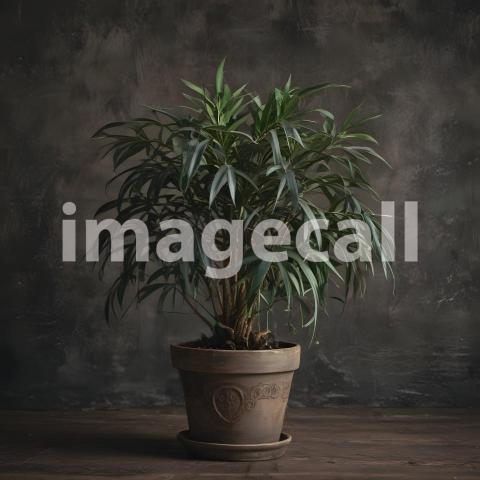 2025 07 18 18 25 32 6121