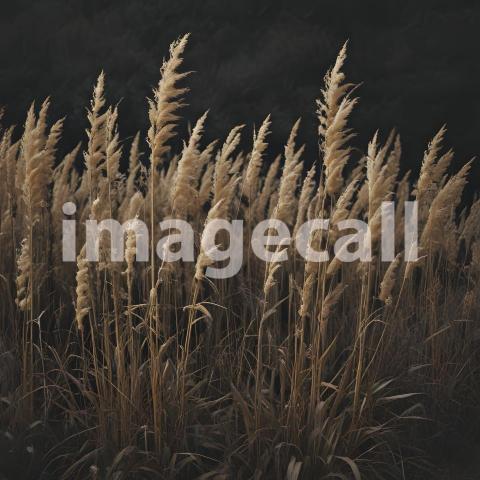 2025 07 18 18 27 28 3346