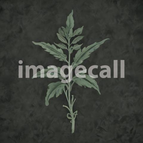 2025 07 18 18 27 41 5850