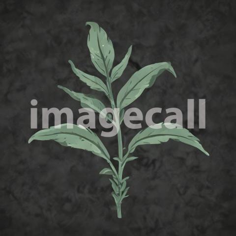 2025 07 18 18 28 09 5600