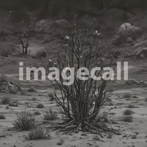 2025 07 18 18 28 24 2591