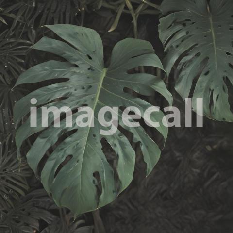 2025 07 18 19 48 28 8345