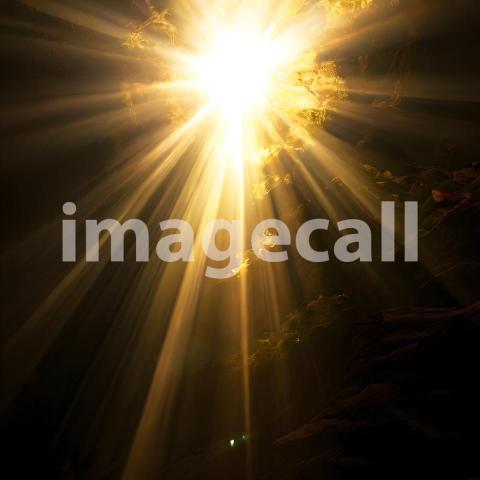 Abstract and surreal colorful and vivid (553)