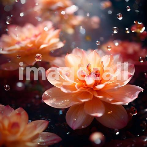 Abstract and surreal colorful and vivid (663)