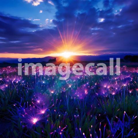 Abstract and surreal colorful and vivid (1711)