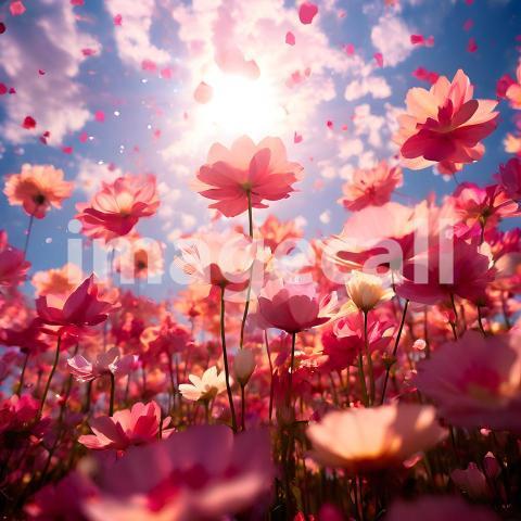 Abstract and surreal colorful and vivid (2882)