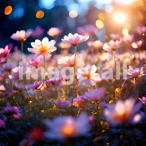 Abstract and surreal colorful and vivid (3512)