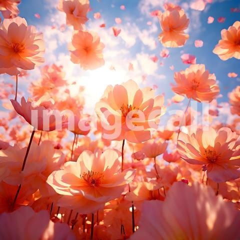 Abstract and surreal colorful and vivid (4106)