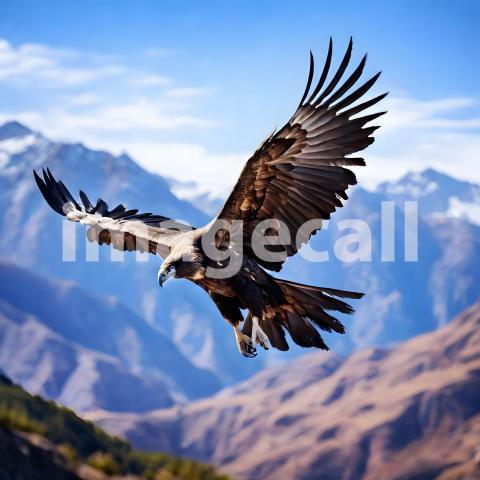 2025 03 05 23 03 26 1685