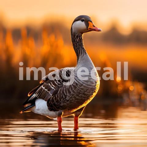 2025 03 05 23 08 52 7295