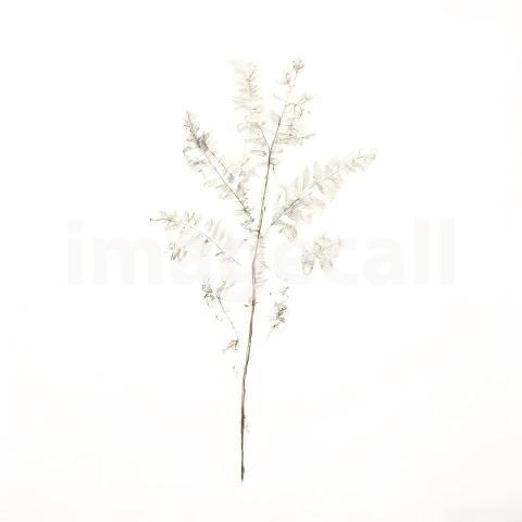 Architecture and Urban isolated trees plants (1667)