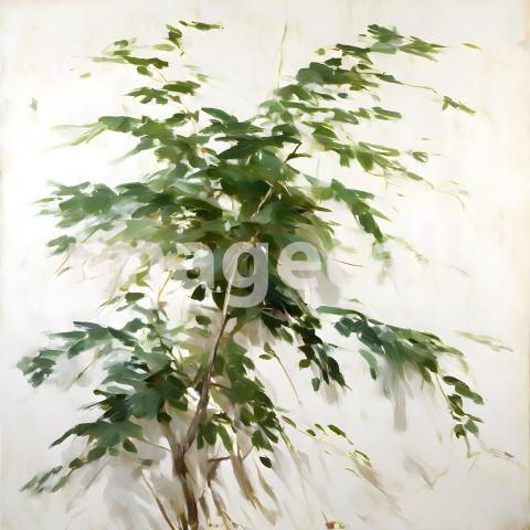 Architecture and Urban isolated trees plants (1713)