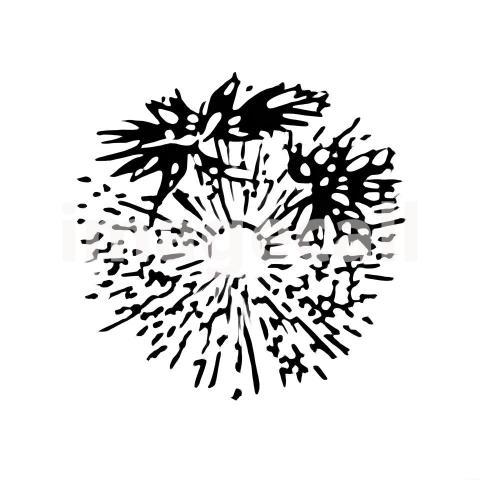 Architecture and Urban isolated trees plants (1730)