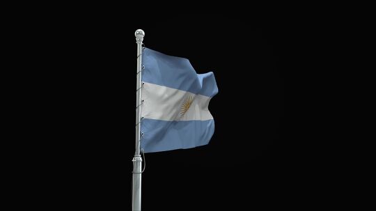 flag 19