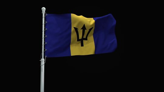 flag 21