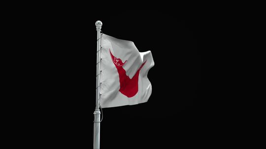 flag 37